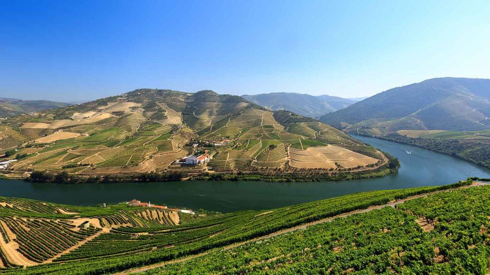 Porto: Douro Valley Wine Tour With Lunch - Free Cancellation Policy