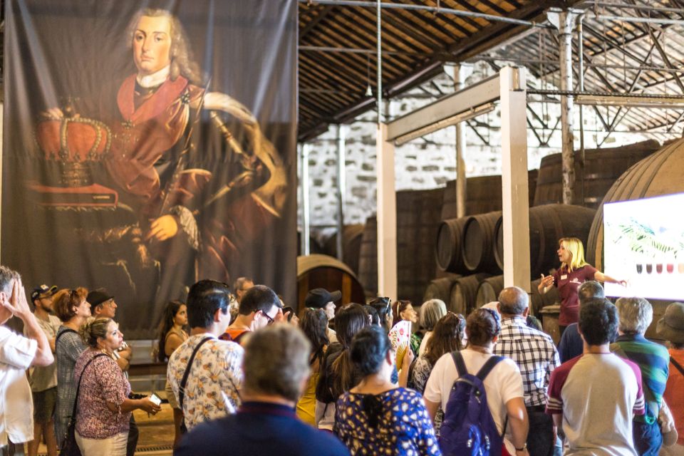 Porto: Old Town Walking Tour Wine Cellar and Tastings - Additional Tour Information