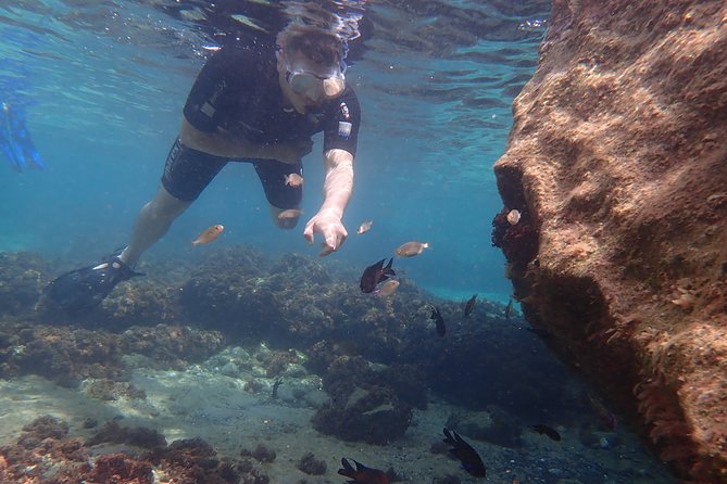 Porto Santo Snorkeling Tour - Booking and Contact Details