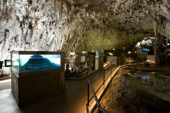 Postojna Cave & Predjama Castle - Small Group Tour From Trieste - Additional Tips