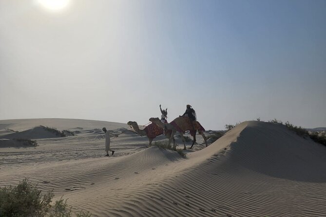 Premium Sunset Safari Tour From Doha: Sealine, Sand Dunes, and Beach - Customer Support Availability