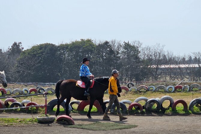 Private 2Days Tour a Lot of Experience Driver in Jeju Island - Common questions