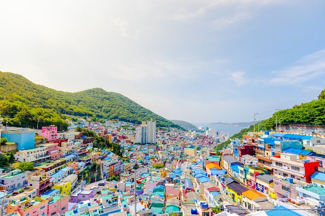 Private 3-Day Tour, Busan Family Pack - Booking Procedure