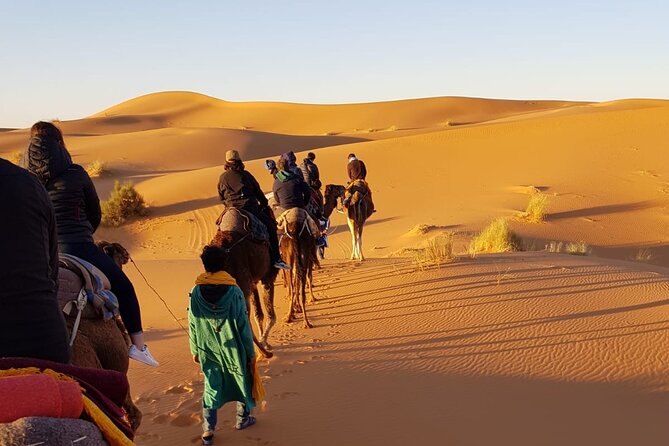 Private 4 Days Desert Tours From Marrakech - Last Words