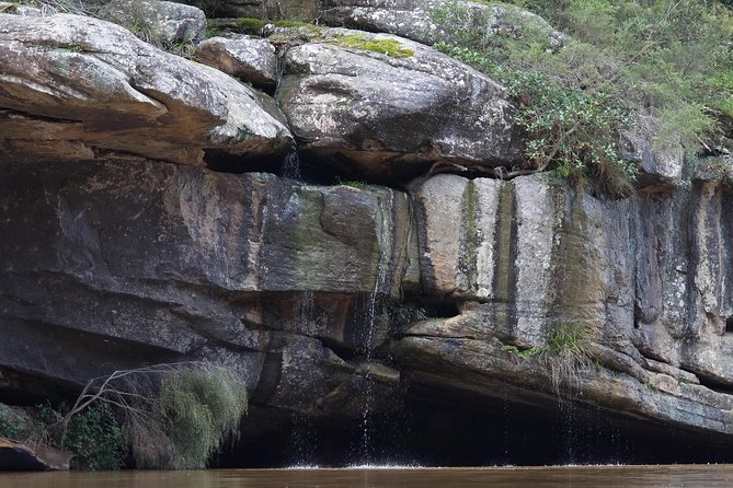 Private 5-Hour Kayaking Tour With Gourmet Lunch, Nepean Gorge  - Sydney - Expectations and Requirements