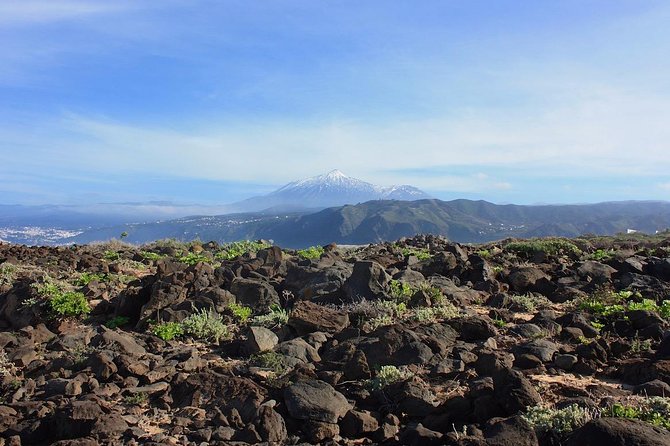 Private 8-Hour Shore Excursion to El Teide Cable Car With Guide and Driver - Last Words