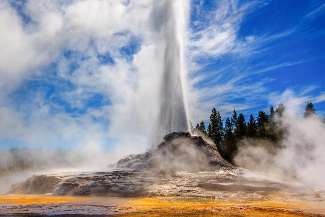 Private All-Day Tour of Yellowstone National Park - Customized and Personalized Tours