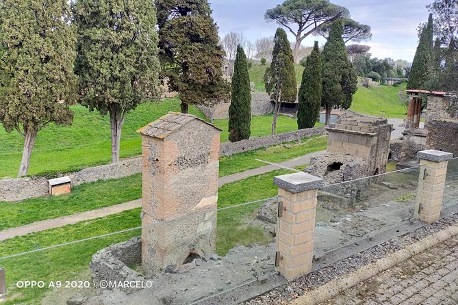 Private Archaeologist Service to Explore Pompeiis Secrets Any Time Ticket Incl. - Traveler Photos and Communication