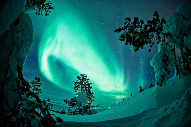 Private Aurora Tour by Lapland Welcome Aurora Experts for 1-4 Persons - Common questions