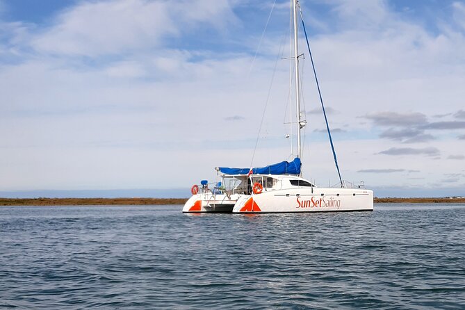 Private Boat Tour Through the Faro Islands - Last Words