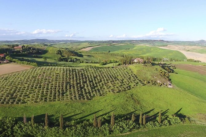 Private Chianti Classico Tour With Wine and Food Tasting in a Historic Estate - Last Words