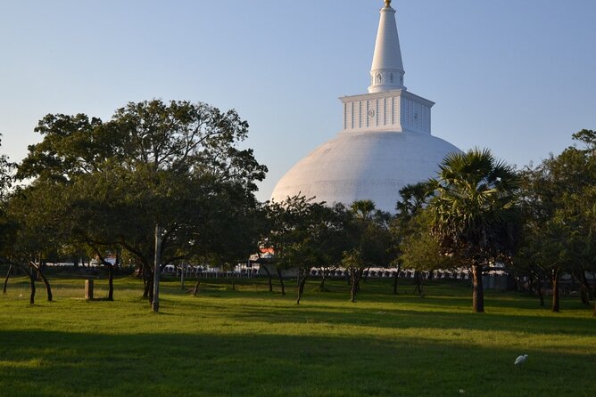 Private City Day Tour in Anuradhapura - Pricing Options