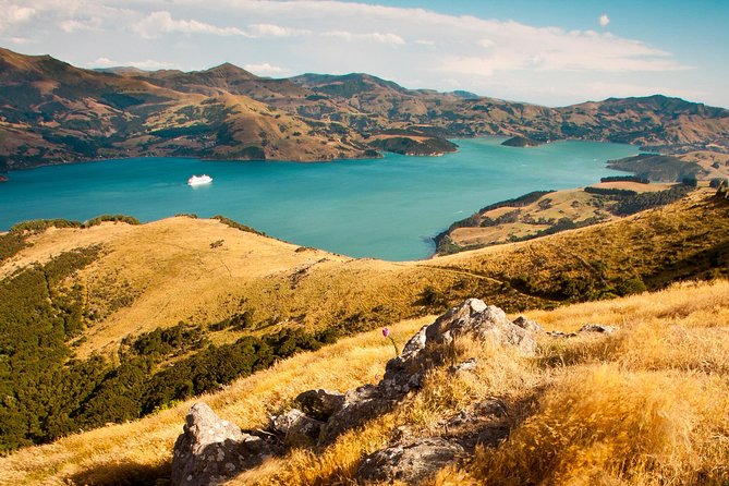 Private Day Scenic Excursion to Akaroa/Christchurch Ex Lyttelton - Customer Reviews