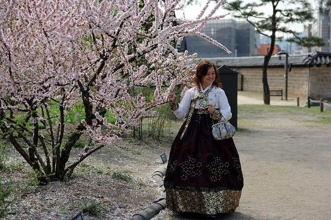 Private Day Tour Around Seoul Korea With Pro Photographer - Booking Confirmation and Final Details