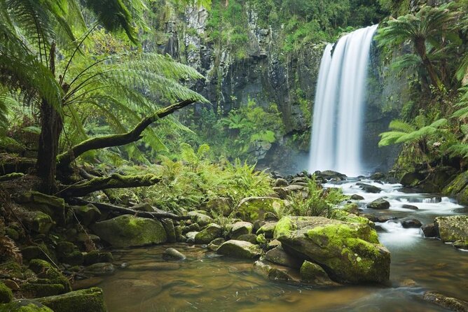 Private Day Tour at The Great Ocean Road - Common questions