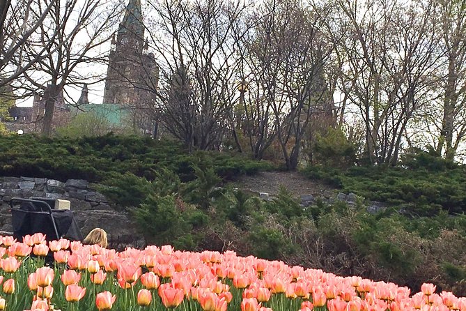 Private Day Tour OTTAWA Tulip Festival May 10-20 From MONTREAL - Tour Operation Details