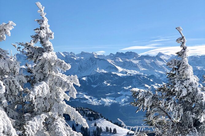 Private Day Trip in the Heart of the ALPS - Jungfrau Region - Safety Measures and Guidelines