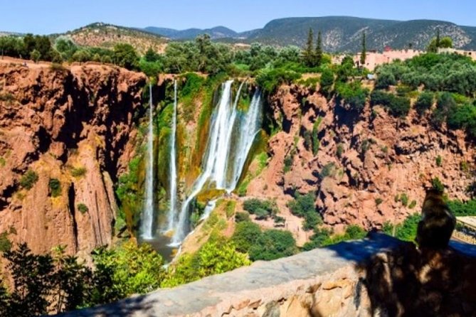 Private Day Trip to Ouzoud Waterfalls From Marrakech - Tour Guide Information
