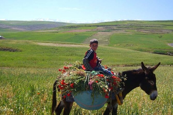 Private Day Trip to the High Atlas Mountains From Marrakech - Booking Information