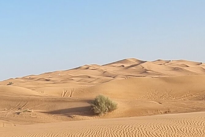 Private Desert Safari in Dubai With Pickup - Sunset Views and Stargazing