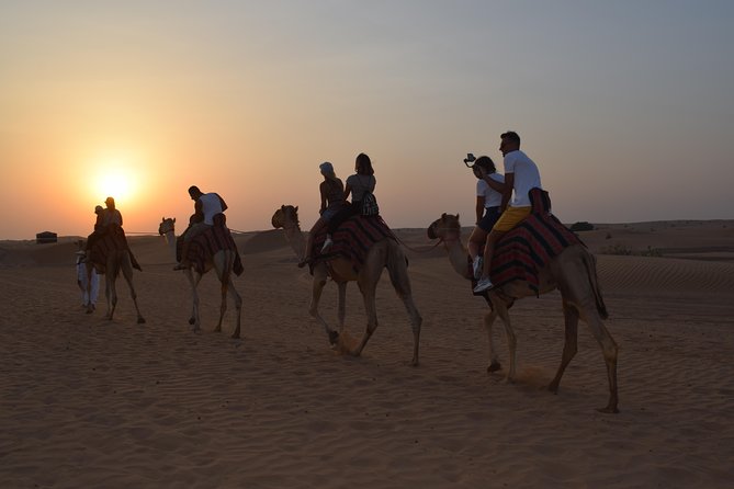 Private Desert Safari Red Dune With BBQ, Sand Boarding and Camel Ride - Last Words