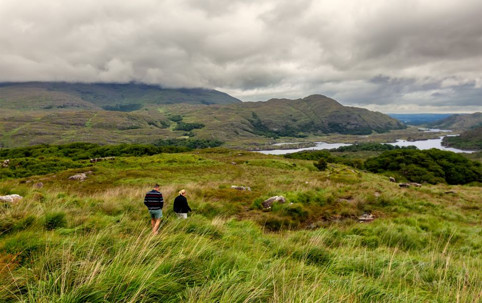 Private Discover Ring of Beara Tour From Killarney - About This Activity