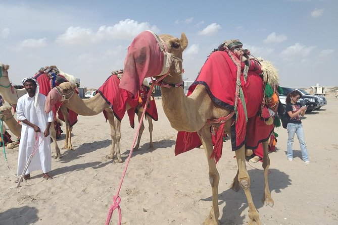 Private Doha Desert With Dune Bash, Camel Ride and Inland Sea - Booking and Departure Information