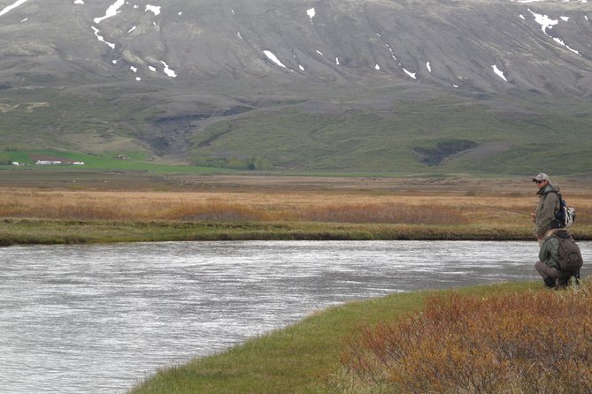 Private Fishing Tour From Reykjavik - Arctic Char and Brown Trout - Customer Reviews