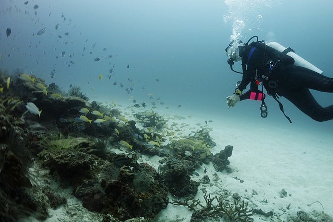 Private Full-Day Scuba Diving in Phuket - Safety Measures