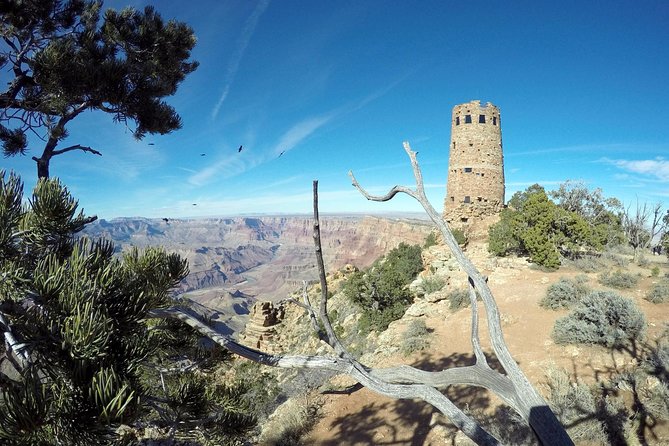 Private Grand Canyon Sightseeing Tour From Williams Tusayan GCV - Last Words