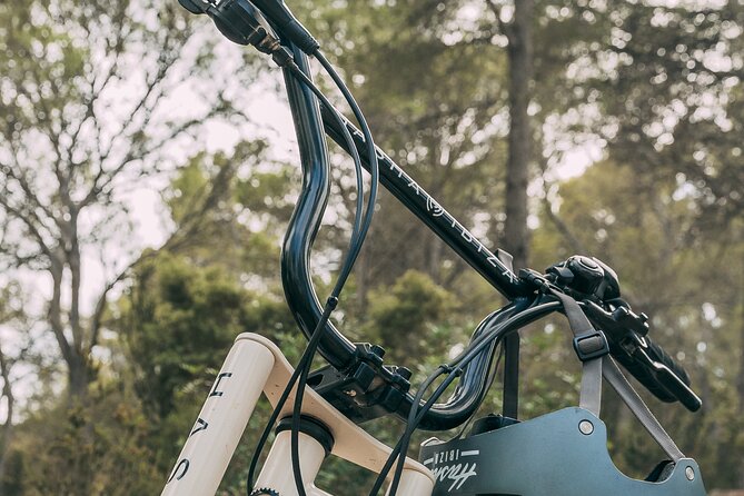 Private Guided Ebike Tour in Ibiza - Common questions