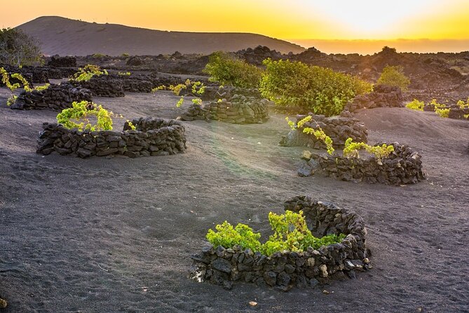 Private Half Day Excursion to Lanzarote With Pick-Up and Drop-Off - Additional Details