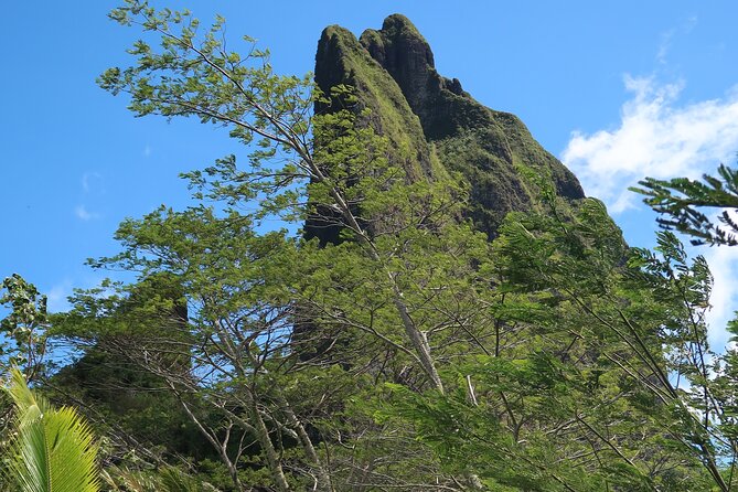Private Half-Day Hike in the Opunohu Valley in Moorea - Last Words