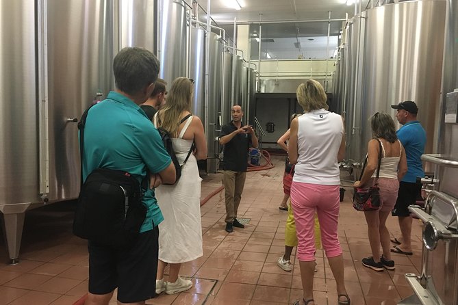 Private Half-Day Languedoc Wine Tour From Sète - Last Words