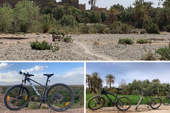 Private Half-Day Mountain Biking Excursion to Discover the Palm Grove of Skoura - Last Words
