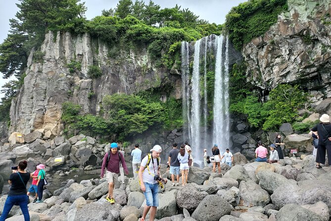 Private Half Day South and West Tour in Jeju Island - Terms and Conditions