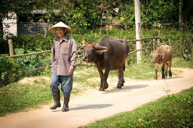 Private Motorbike Tour To Hoi An Rural Villages & River Islands - Additional Information and Considerations