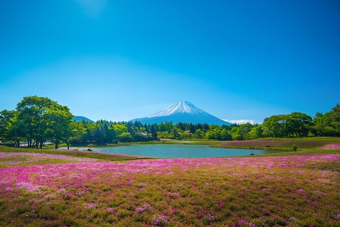 Private Mount Fuji Tour From Narita Airport /Haneda Airport/Tokyo - Additional Information