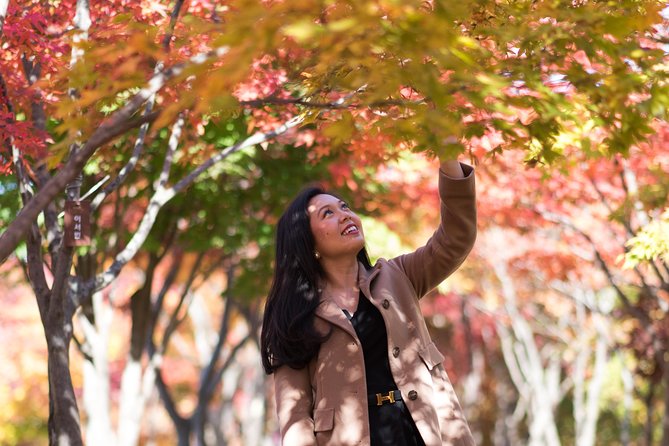 Private Nami Island Photo Shoot and Tour With a Photographer - Weather Policy and Cancellation Terms