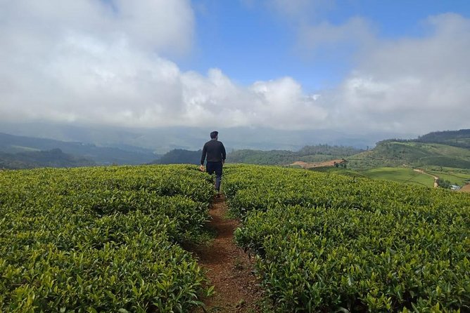 Private Nuwara Eliya Hiking or Birdwatching Experience - Assistance Availability