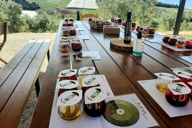 Private Olive Tasting Tour of Peloponnese With a Pickup - Common questions