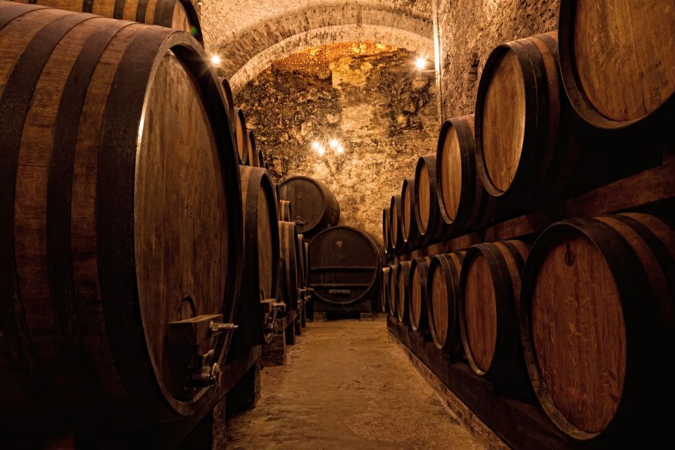 Private Porto Half-Day Tour - Wine Cellars & Cheese Tasting - Recommended Itinerary