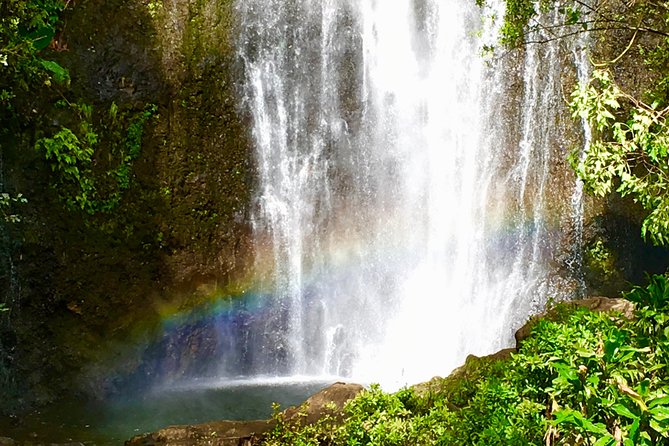 Private Road to Hana Tour - Maui Island Culture and Natural Habitat