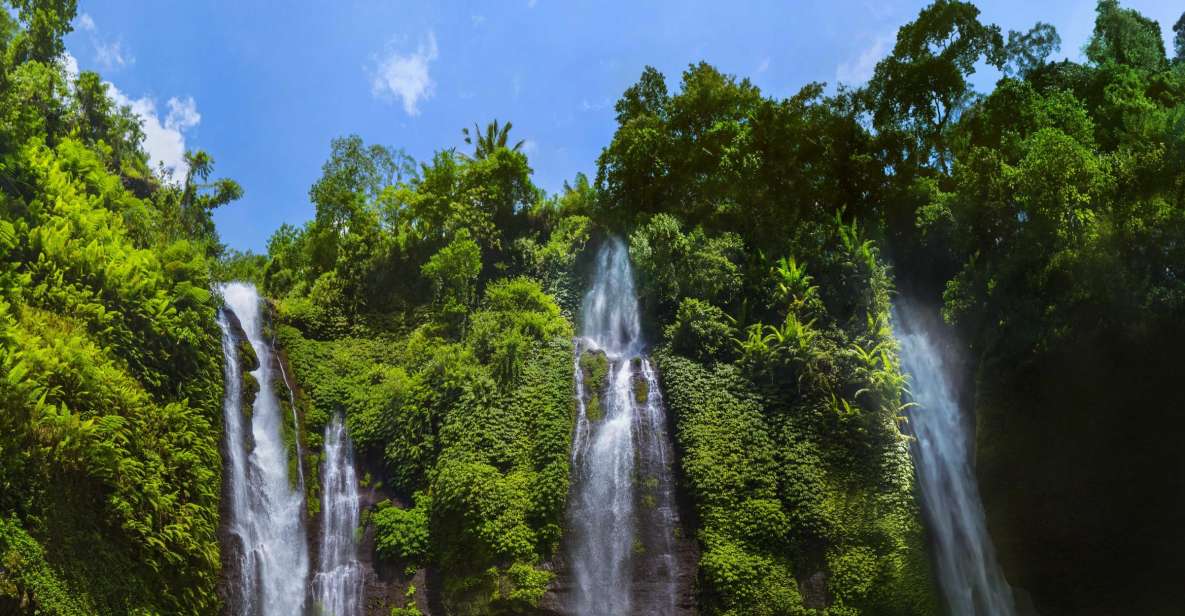 Private Sekumpul Waterfall Hiking Tour - Customer Reviews