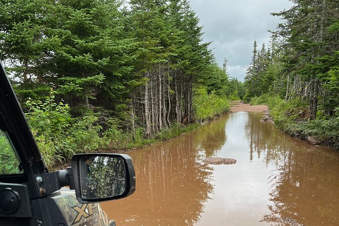 Private Shore Excursion UTV/ATV Side-by-Side Trail Tour - Common questions