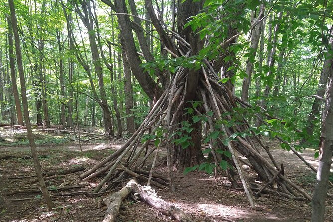 Private Singhampton Caves Hike, Collingwood/Blue Mtn/Creemore - Directions