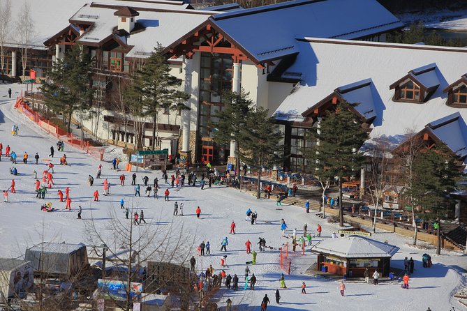 PRIVATE SKI TOUR in Pyeongchang Olympic Ski Resort(More Members Less Cost) - Location: Pyeongchang Olympic Ski Resort