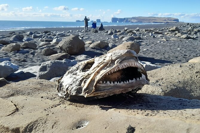 Private South Coast and Katla Ice Cave Tour - Important Restrictions