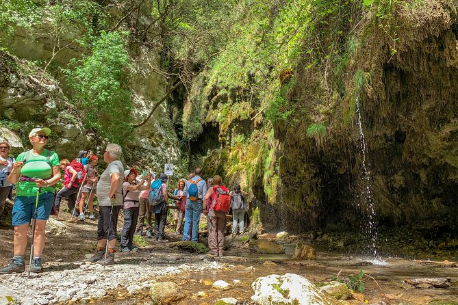 Private Tour: Amalfi Valle Delle Ferriere Nature Reserve Walking Tour - Highlights