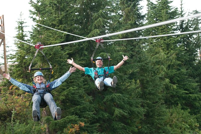 Private Tour: Capilano Suspension Bridge and Grouse Mountain - Last Words